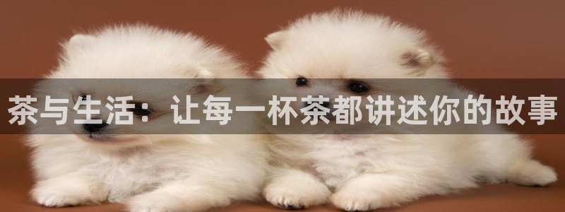 龙八国际娱乐老虎机