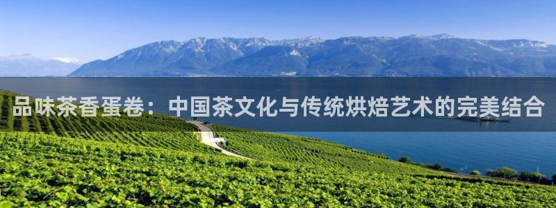 龙八国际官网手机版登录