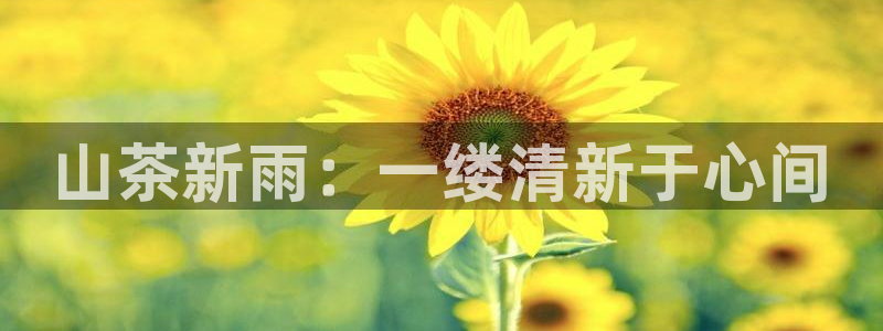 龙八国际娱乐会所