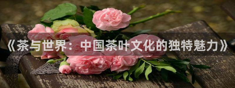 龙八国际官网首页网页版