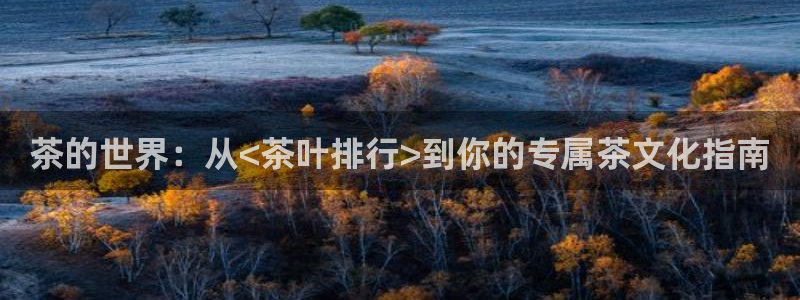 龙八国际正规吗