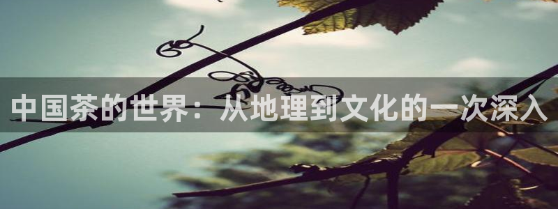 龙八国际zbzszx.com