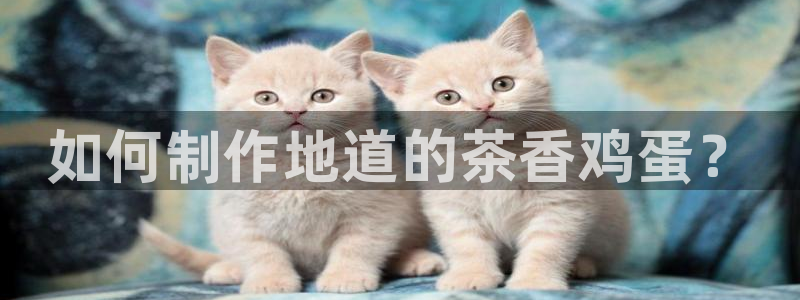 龙八国际平台下载