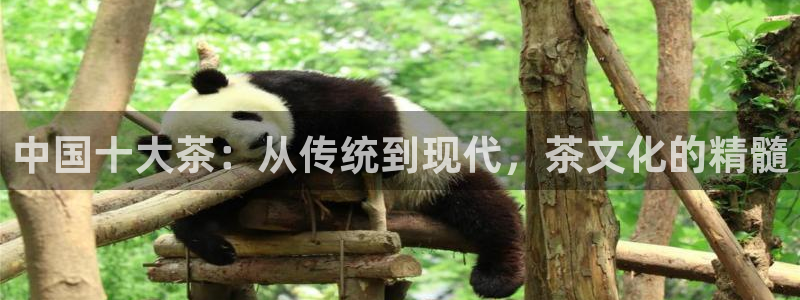 龙八国际官方首页