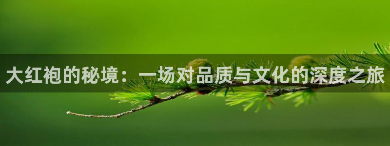 龙八国际怎么注册手机端