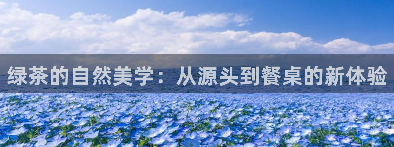 龙八国际彩金购买