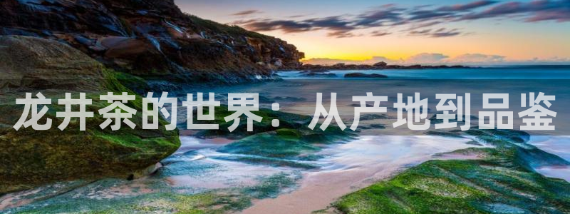 龙八国际app手机版下载苹果