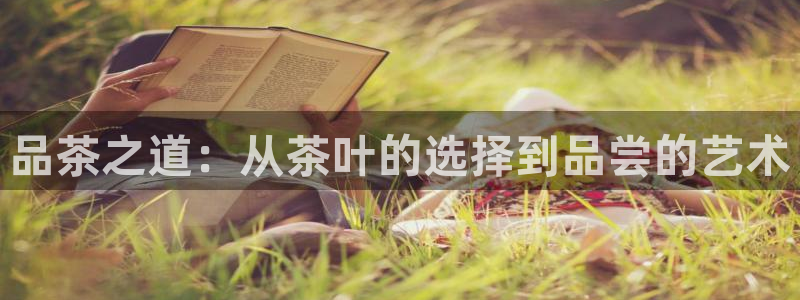 龙八国际娱乐官网首页