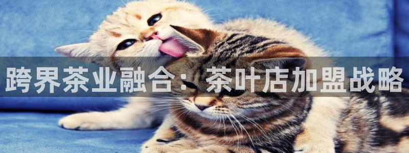 龙八国际网站全网