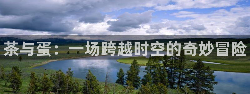 龙八国际官网产品介绍