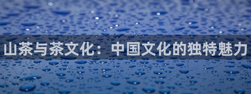 龙八国际网页long123