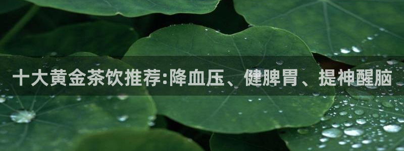 龙八国际下载安装