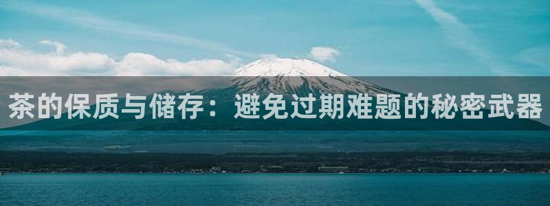 龙八国际app下载安装