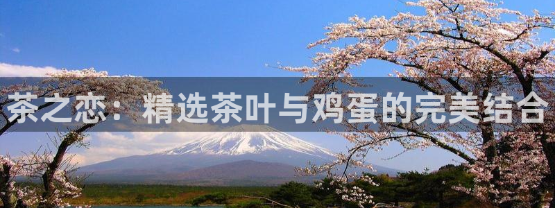 龙八国际客户端下载官网