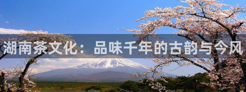 龙八国际娱乐官网注册