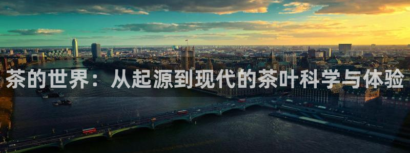 下载龙八国际手机版