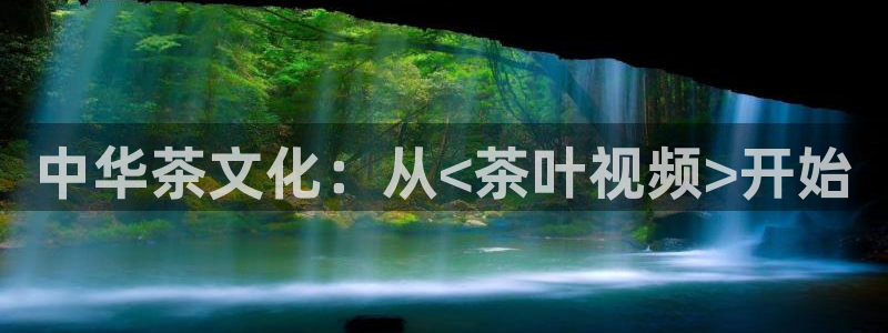 龙八国际可b48点tv