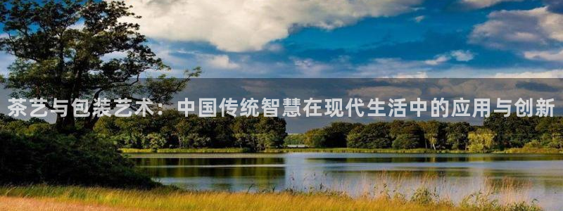 龙八国际优惠券