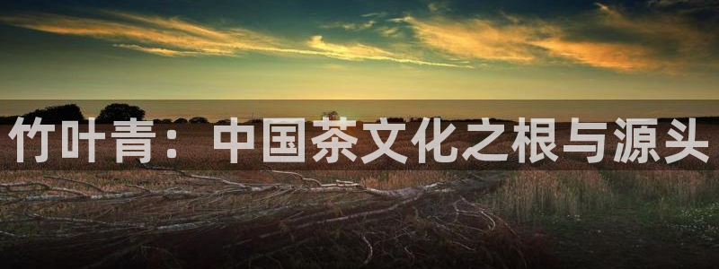 龙八国际娱乐老板是谁