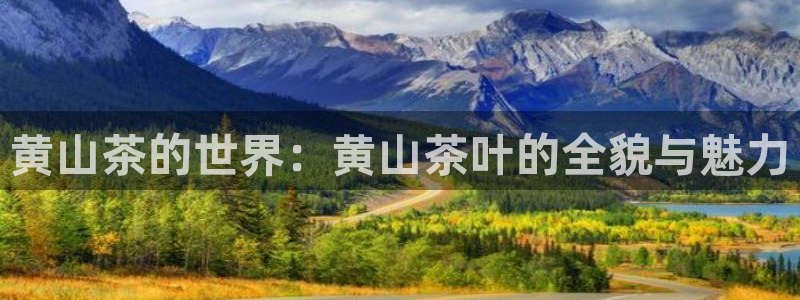 龙八国际怎么注册app