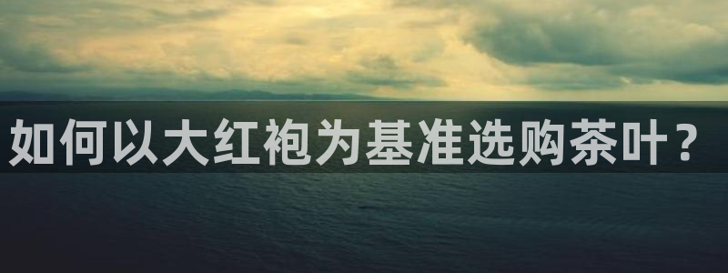 龙八国际网址是多少