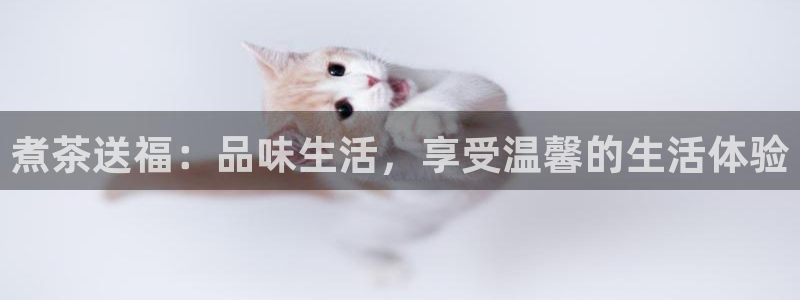 龙八国际手机登录首页