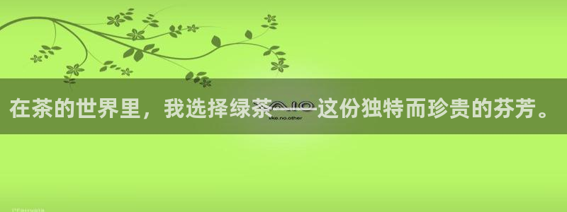 国际龙八国集团