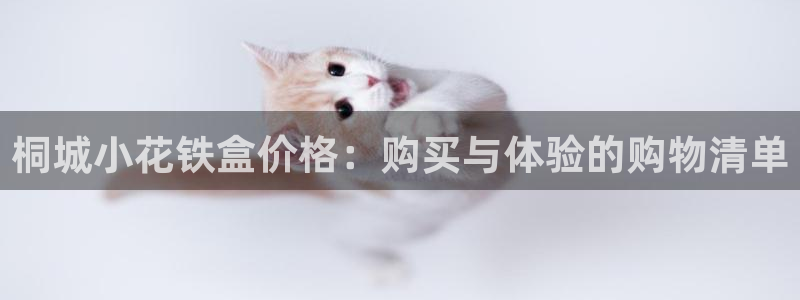 龙八国际娱乐app