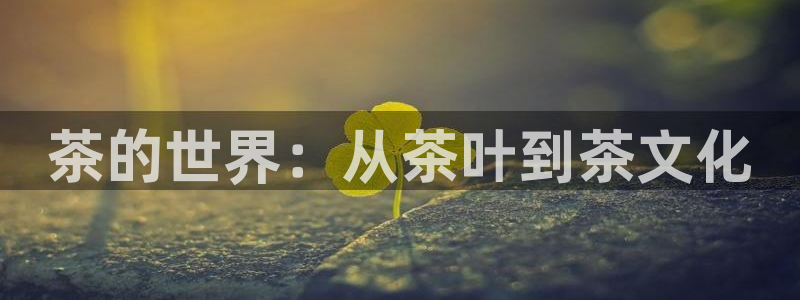 龙八国际平台网站