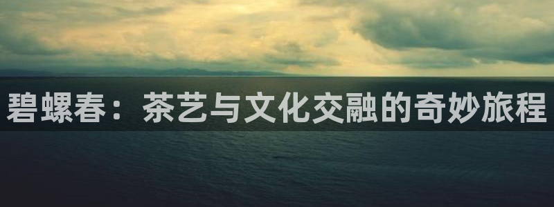 龙八国际娱乐在线游戏