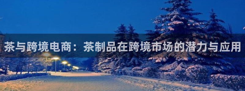 龙八国际苹果下载地址