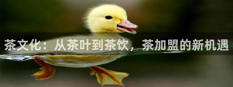 龙八国际官网登录