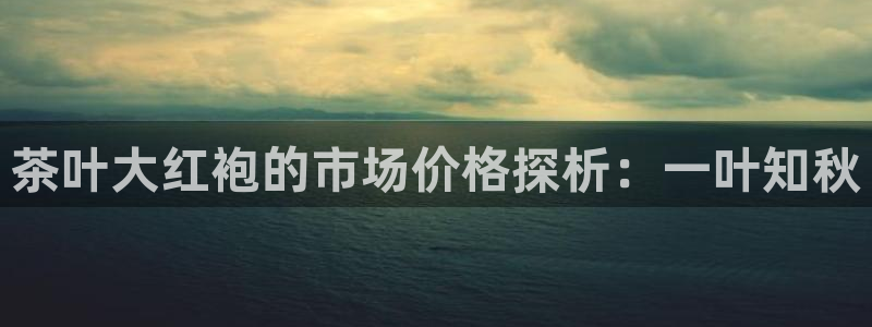 龙八国际app客户端