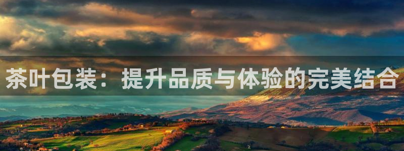 龙八国际怎么样