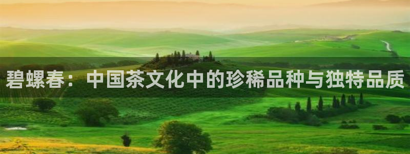 龙八国际老虎机