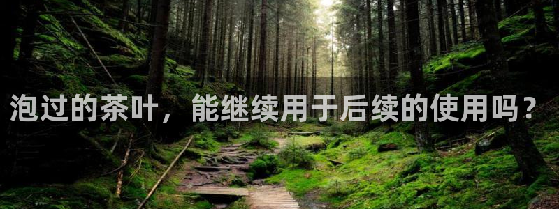 龙八国际娱乐App客户端下载