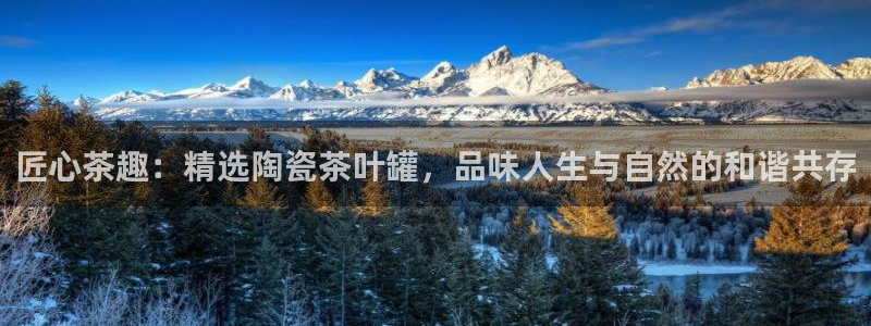 龙八国际娱乐网址