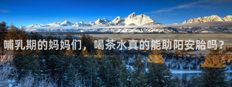 龙八国际苹果下载地址