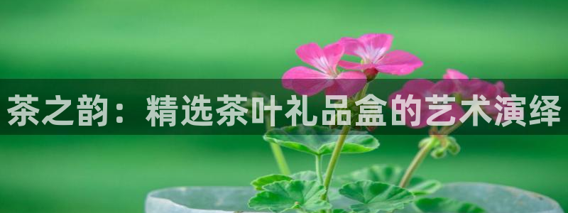 龙八国际登录注册