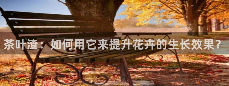 龙八国际网址f68点top