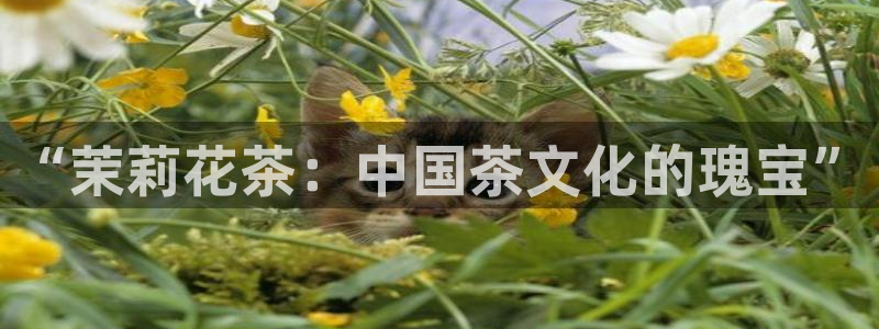 龙八国际免费下载