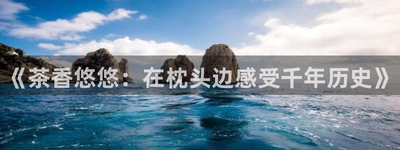 龙八国际娱乐网站多少