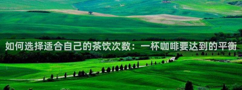 龙八国际网q18点tv