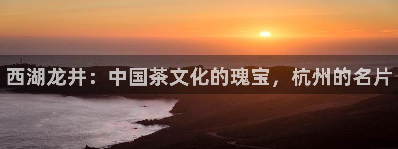 龙八国际怎么样