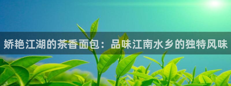 龙八国际app电话号码