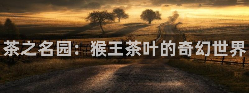 龙八国际手机版下载平台